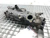 Intake manifold