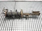 Rear shock absorber/damper