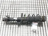 Front shock absorber/damper