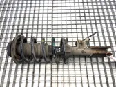 Front shock absorber/damper