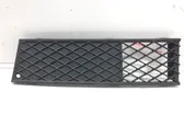 Front bumper lower grill