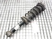 Rear shock absorber/damper