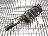 Front shock absorber/damper