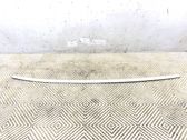 Copertura modanatura barra di rivestimento del tetto