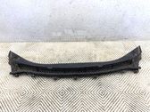 Moldura del limpia
