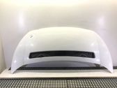 Motorhaube