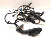 Rear door wiring loom