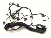 Rear door wiring loom