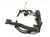 Rear door wiring loom