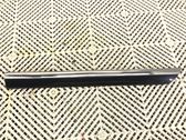 Rear door trim (molding)