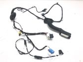 Front door wiring loom
