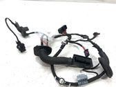 Rear door wiring loom
