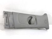 Other sill/pillar trim element