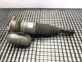 Rear shock absorber/damper