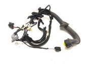 Rear door wiring loom
