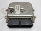 Engine control unit/module ECU