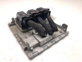 Engine control unit/module ECU