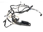 Front door wiring loom