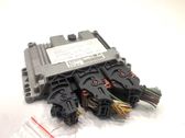 Engine control unit/module ECU