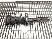 Front shock absorber/damper