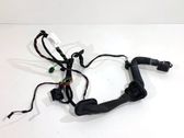 Rear door wiring loom