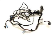 Front door wiring loom