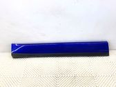 Front door trim (molding)