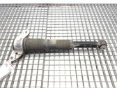 Rear shock absorber/damper