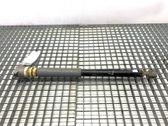 Rear shock absorber/damper