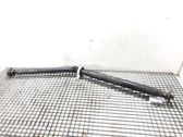 Drive shaft (set)