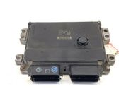 Engine control unit/module ECU