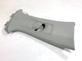Other sill/pillar trim element