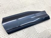 Rear door trim (molding)