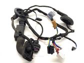 Rear door wiring loom