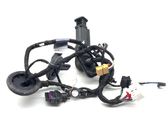 Rear door wiring loom