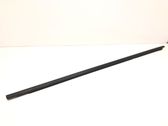 Rear door glass trim molding