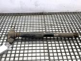 Stoßdämpfer hinten