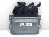 Engine control unit/module ECU