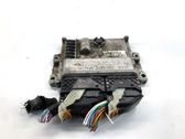 Engine control unit/module ECU