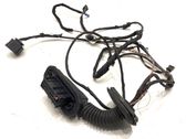 Rear door wiring loom