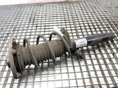 Front shock absorber/damper