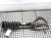 Front shock absorber/damper