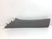 Autres éléments de garniture marchepied