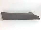 Other sill/pillar trim element