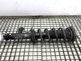 Rear shock absorber/damper