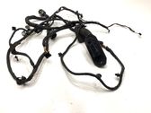 Front door wiring loom