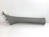 Other sill/pillar trim element
