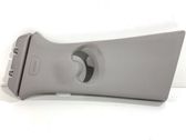 Other sill/pillar trim element