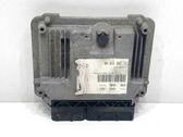 Engine control unit/module ECU