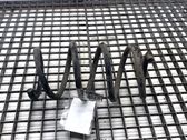 Front coil spring